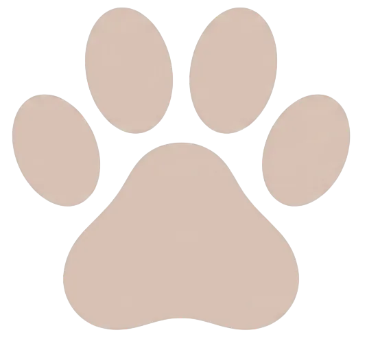 patte de chien